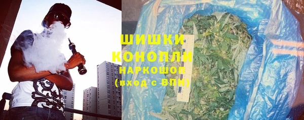 прущие грибы Армянск