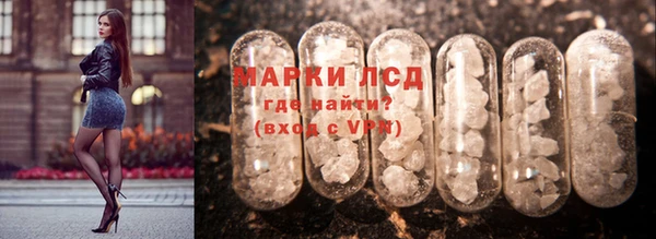 прущие грибы Армянск